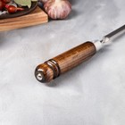 Шампур армянский «Люкс», рукоять лак, 60 см х 3 мм, рабочая часть 45 см 9177404 - фото 4553286