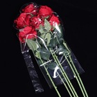 Воздушный шар полимерный 22" «Для объёмных игрушек» - Фото 2