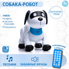 Робот собака «Лакки» IQ BOT, на пульте управления, интерактивный: световые и звуковые эффекты, на батарейках, на русском языке - фото 25329123