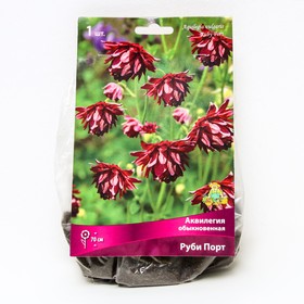 Аквилегия обыкновенная Руби Порт, I р-р, 1 шт. 70 h(см), Весна 2024  (артикул 9245598)  большой выбор товаров оптом и в розницу по низким ценам с доставкой