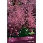 Астильба Арендса «Биг Бэнд», I р-р, 1 шт. 60 h(см), Осень 2024  (артикул 9245601)  большой выбор товаров оптом и в розницу по низким ценам с доставкой