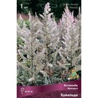 Астильба «Арендса Бумальда», I р-р, 1 шт. 40-60 h(см), Осень 2024  (артикул 9245602)  большой выбор товаров оптом и в розницу по низким ценам с доставкой