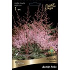 Астильба Арендса Делфт Лейс I р-р, 1 шт. Весна 2026  (артикул 9245606)  большой выбор товаров оптом и в розницу по низким ценам с доставкой