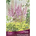 Астильба Арендса Колор Флэш Лайм, I р-р, 1 шт. 45-50 h(см), Осень 2022  (артикул 9245608)  большой выбор товаров оптом и в розницу по низким ценам с доставкой