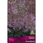 Астильба «Арендса Рэззл Дэззл», I р-р, 1 шт. 65 h(см), Осень 2024 9245614