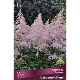 Астильба «Арендса Файрворкс Пинк», I р-р, 1 шт. 50 h(см), Осень 2024  (артикул 9245615)  большой выбор товаров оптом и в розницу по низким ценам с доставкой