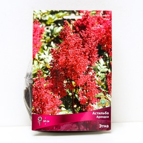 Астильба «Арендса Этна», I р-р, 1 шт. 60 h(см), Осень 2025  (артикул 9245618)  большой выбор товаров оптом и в розницу по низким ценам с доставкой