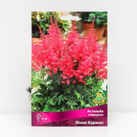 Астильба гибридная Юник Кармин, I р-р, 1 шт. 45 h(см), Осень 2022  (артикул 9245624)  большой выбор товаров оптом и в розницу по низким ценам с доставкой