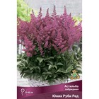 Астильба гибридная Юник Руби Ред, I р-р, 1 шт. 30-40 h(см), Осень 2022  (артикул 9245625)  большой выбор товаров оптом и в розницу по низким ценам с доставкой