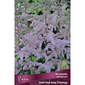 Астильба китайская «Глиттер энд Гламур», I р-р, 1 шт. 60-70 h(см), Осень 2024 9245628