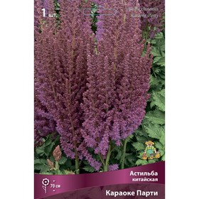 Астильба китайская «Караоке Парти», I р-р, 1 шт. 70 h(см), Осень 2025 9245629