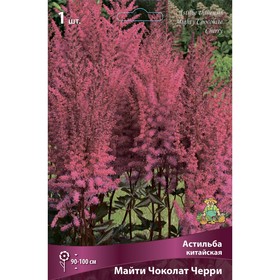 Астильба китайская «Майти Чоколат Черри», I р-р, 1 шт. 90-100 h(см), Осень 2025  (артикул 9245631)  большой выбор товаров оптом и в розницу по низким ценам с доставкой