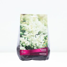 Астильба японская Аваланш, I р-р, 1 шт. 60 h(см), Осень 2022  (артикул 9245640)  большой выбор товаров оптом и в розницу по низким ценам с доставкой