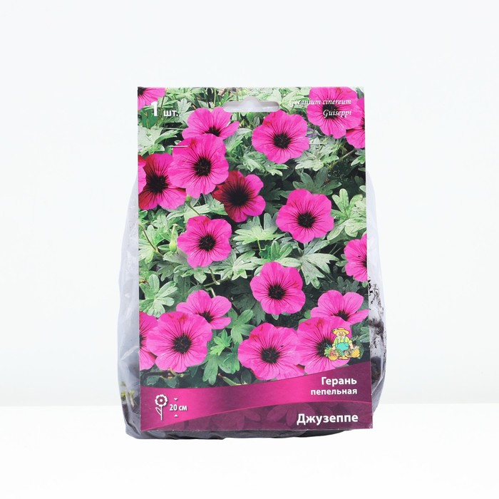 Герань пепельная Джузеппе, I р-р, 1 шт. 20 h(см), Осень 2022