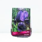 Ирис бородатый Блэк Найт, I р-р, 1 шт. 80 h(см), Осень 2022  (артикул 9245661)  большой выбор товаров оптом и в розницу по низким ценам с доставкой