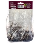 Ирис бородатый Эдит Уолфорд, I р-р, 1 шт. 100 h(см), Осень 2022  (артикул 9245667)  большой выбор товаров оптом и в розницу по низким ценам с доставкой