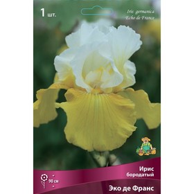 Ирис бородатый Эко де Франс, I р-р, 1 шт. 90 h(см), Осень 2022  (артикул 9245668)  большой выбор товаров оптом и в розницу по низким ценам с доставкой
