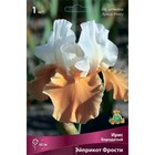 Ирис бородатый Эйприкот Фрости, I р-р, 1 шт. 60 h(см), Осень 2022  (артикул 9245669)  большой выбор товаров оптом и в розницу по низким ценам с доставкой