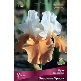 Ирис бородатый Эйприкот Фрости, I р-р, 1 шт. 60 h(см), Осень 2022  (артикул 9245669)  большой выбор товаров оптом и в розницу по низким ценам с доставкой