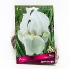 Ирис карликовый «Дрим Стафф», I р-р, 1 шт. 35-40 h(см), Осень 2022  (артикул 9245670)  большой выбор товаров оптом и в розницу по низким ценам с доставкой