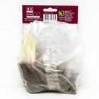 Ирис сибирский Магнетизм, I р-р, 1 шт. 65 h(см), Осень 2022  (артикул 9245683)  большой выбор товаров оптом и в розницу по низким ценам с доставкой