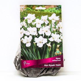 Ирис сибирский Нот Куайт Уайт, I р-р, 1 шт. 45 h(см), Весна 2024  (артикул 9245684)  большой выбор товаров оптом и в розницу по низким ценам с доставкой