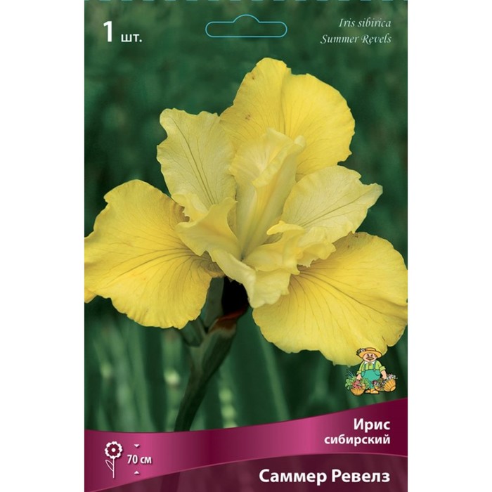 Ирис сибирский Саммер Ревелз, I р-р, 1 шт. 70 h(см), Весна 2026
