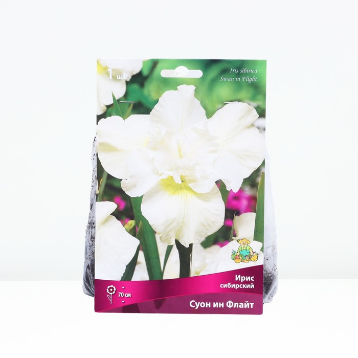 Ирис сибирский Суон ин Флайт, I р-р, 1 шт. 70 h(см), Осень 2022