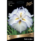 Ирис японский Лайт эт Дон, I р-р, 1 шт. 80 h(см), Весна 2024  (артикул 9245696)  большой выбор товаров оптом и в розницу по низким ценам с доставкой