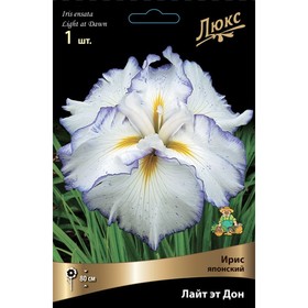 Ирис японский Лайт эт Дон, I р-р, 1 шт. 80 h(см), Весна 2024  (артикул 9245696)  большой выбор товаров оптом и в розницу по низким ценам с доставкой