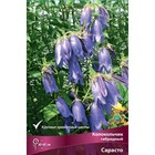 Колокольчик гибридный Сарасто, I р-р, 1 шт. 40-60 h(см), Осень 2022  (артикул 9245701)  большой выбор товаров оптом и в розницу по низким ценам с доставкой