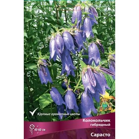 Колокольчик гибридный Сарасто, I р-р, 1 шт. 40-60 h(см), Осень 2022  (артикул 9245701)  большой выбор товаров оптом и в розницу по низким ценам с доставкой