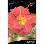 Лилейник гибридный Буби Руби, I р-р, 1 шт. 45 h(см), Осень 2024  (артикул 9245709)  большой выбор товаров оптом и в розницу по низким ценам с доставкой