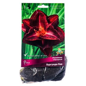Лилейник гибридный Бургунди Лав, I р-р, 1 шт. 50 h(см), Осень 2024  (артикул 9245711)  большой выбор товаров оптом и в розницу по низким ценам с доставкой