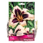 Лилейник гибридный Вайлд Хорсес, I р-р, 1 шт. 80 h(см), Осень 2024  (артикул 9245712)  большой выбор товаров оптом и в розницу по низким ценам с доставкой