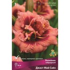 Лилейник гибридный Джаст Май Сайз, I р-р, 1 шт. 40 h(см), Осень 2024  (артикул 9245721)  большой выбор товаров оптом и в розницу по низким ценам с доставкой