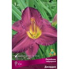 Лилейник гибридный Джордан, I р-р, 1 шт. 65 h(см), Осень 2024  (артикул 9245725)  большой выбор товаров оптом и в розницу по низким ценам с доставкой