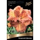 Лилейник гибридный Кендллайт Диннер, I р-р, 1 шт. 65 h(см), Осень 2024  (артикул 9245731)  большой выбор товаров оптом и в розницу по низким ценам с доставкой