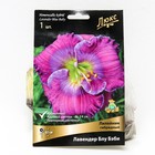 Лилейник гибридный «Лавендер Блу Бэби», I р-р, 1 шт. 65 h(см), Осень 2025 - Фото 1