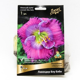 Лилейник гибридный «Лавендер Блу Бэби», I р-р, 1 шт. 65 h(см), Осень 2025  (артикул 9245737)  большой выбор товаров оптом и в розницу по низким ценам с доставкой