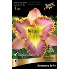 Лилейник гибридный Лавендер Ту Ту, I р-р, 1 шт. 65 h(см), Осень 2024  (артикул 9245738)  большой выбор товаров оптом и в розницу по низким ценам с доставкой