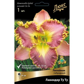 Лилейник гибридный Лавендер Ту Ту, I р-р, 1 шт. 65 h(см), Осень 2024  (артикул 9245738)  большой выбор товаров оптом и в розницу по низким ценам с доставкой