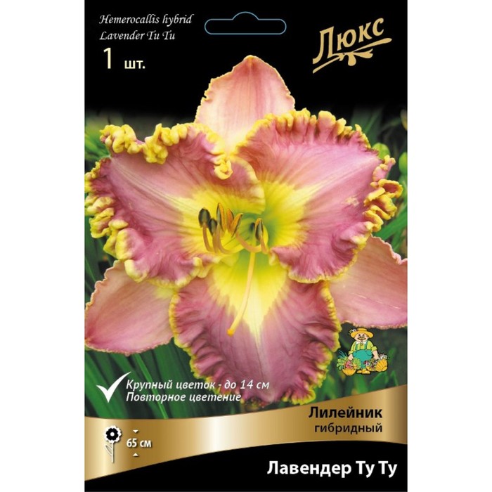 Лилейник гибридный Лавендер Ту Ту, I р-р, 1 шт. 65 h(см), Осень 2024