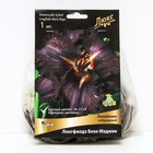 Лилейник гибридный Лонгфилдз Блэк Мэджик, I р-р, 1 шт. 60 h(см), Осень 2024  (артикул 9245746)  большой выбор товаров оптом и в розницу по низким ценам с доставкой