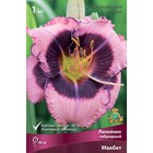 Лилейник гибридный Макбет, I р-р, 1 шт. 60 h(см), Осень 2024  (артикул 9245748)  большой выбор товаров оптом и в розницу по низким ценам с доставкой