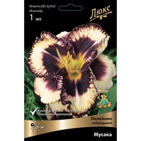 Лилейник гибридный «Мусака», I р-р, 1 шт. 55 h(см), Осень 2024  (артикул 9245752)  большой выбор товаров оптом и в розницу по низким ценам с доставкой