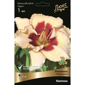 Лилейник гибридный «Ниппон», I р-р, 1 шт. 65 h(см), Осень 2025  (артикул 9245753)  большой выбор товаров оптом и в розницу по низким ценам с доставкой
