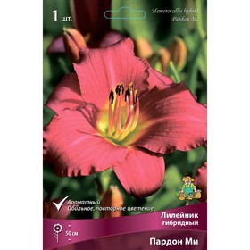 Лилейник гибридный Пардон Ми, I р-р, 1 шт. 50 h(см), Осень 2024  (артикул 9245760)  большой выбор товаров оптом и в розницу по низким ценам с доставкой