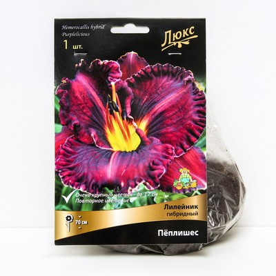 Лилейник гибридный «Пёплишес», I р-р, 1 шт. 70 h(см), Осень 2025