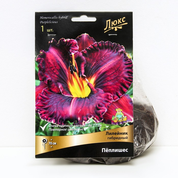 Лилейник гибридный «Пёплишес», I р-р, 1 шт. 70 h(см), Осень 2025 - Фото 1